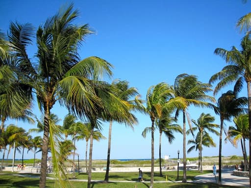 Lummus Park
